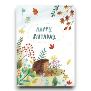 A6 Ansichtkaart – Hedgehog – Happy Birthday