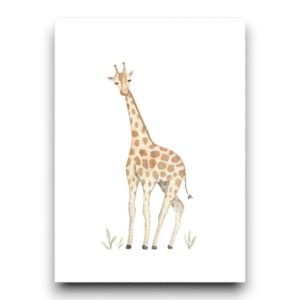 A6 Ansichtkaart – Giraffe