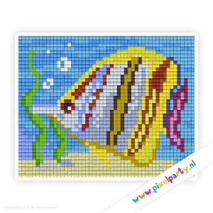 #1A027 – Vis