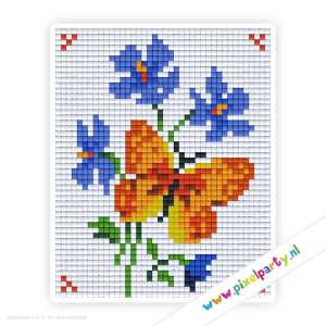 #1A096 – Oranje vlinder en bloemen
