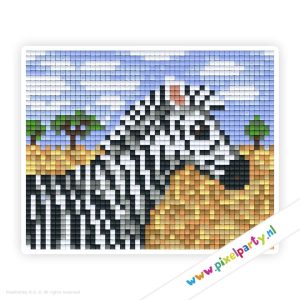 #1A167 – Zebra