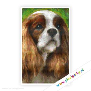 #2A061 – Hondje