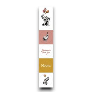 Stickervelletje – Feest