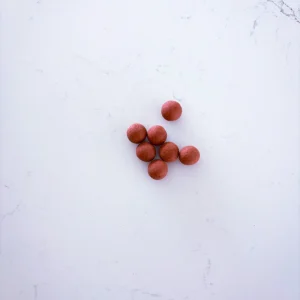 Bloembollen terra red